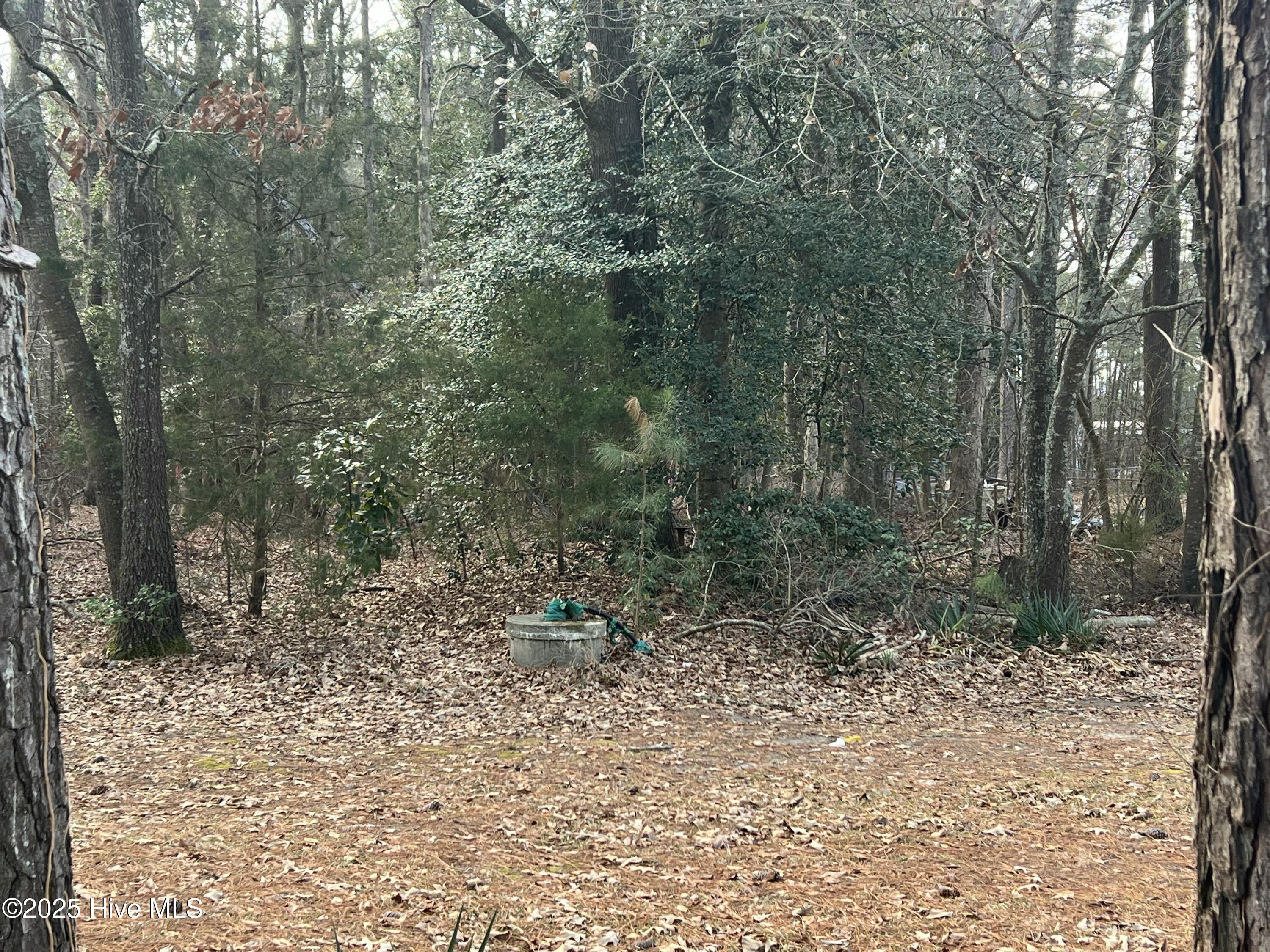 0 Bridgersville Road Macclesfield, NC 27852 - Photo 4 of 4 IMG_0685