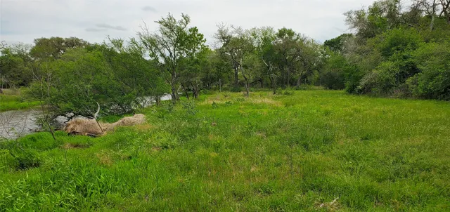 a view of a lush green space