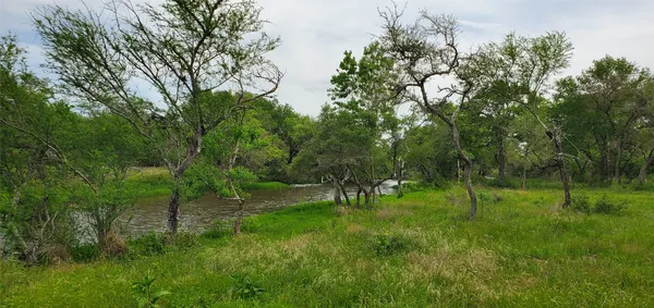 a view of a lake with green space