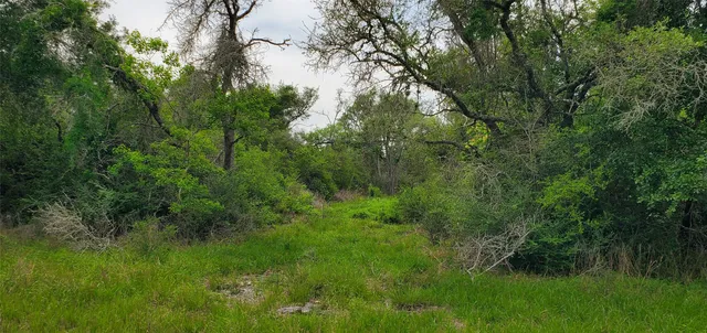 a view of a field with an trees