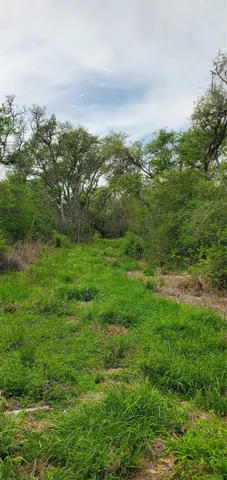 a view of green field with trees