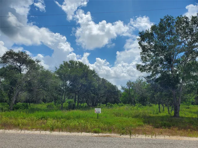 a view of a park with large trees