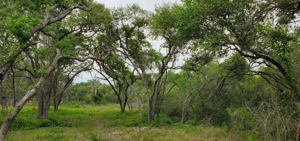 a view of field with trees in the background