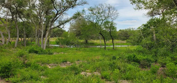 a view of green field with trees in the background