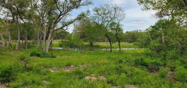 a view of green field with trees in the background