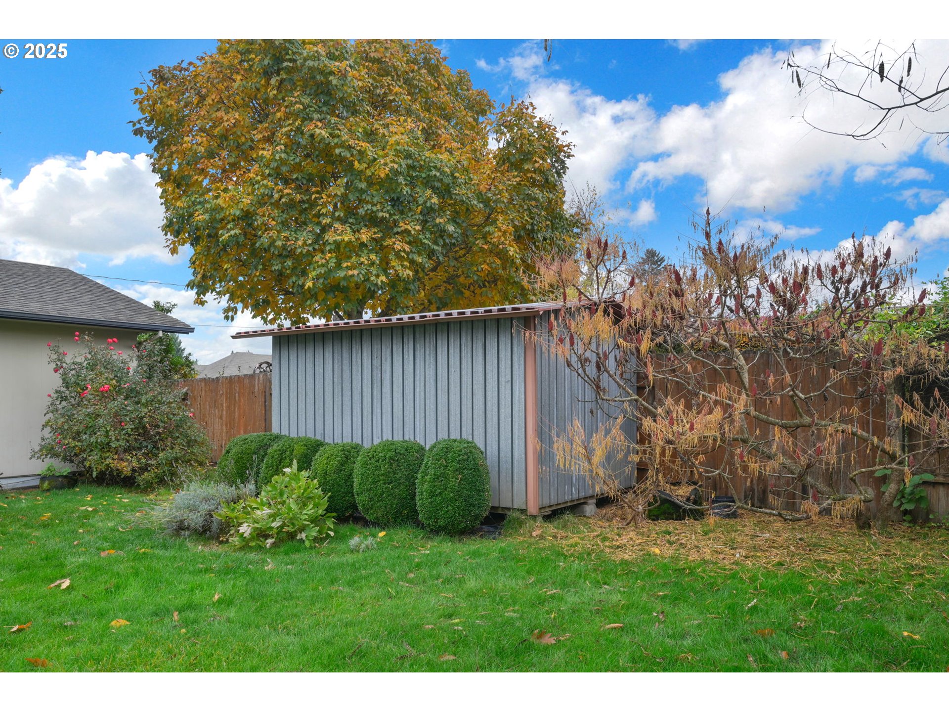 240 Dibblee Lane Eugene, OR 97404 - Photo 39 of 42 a view of a backyard