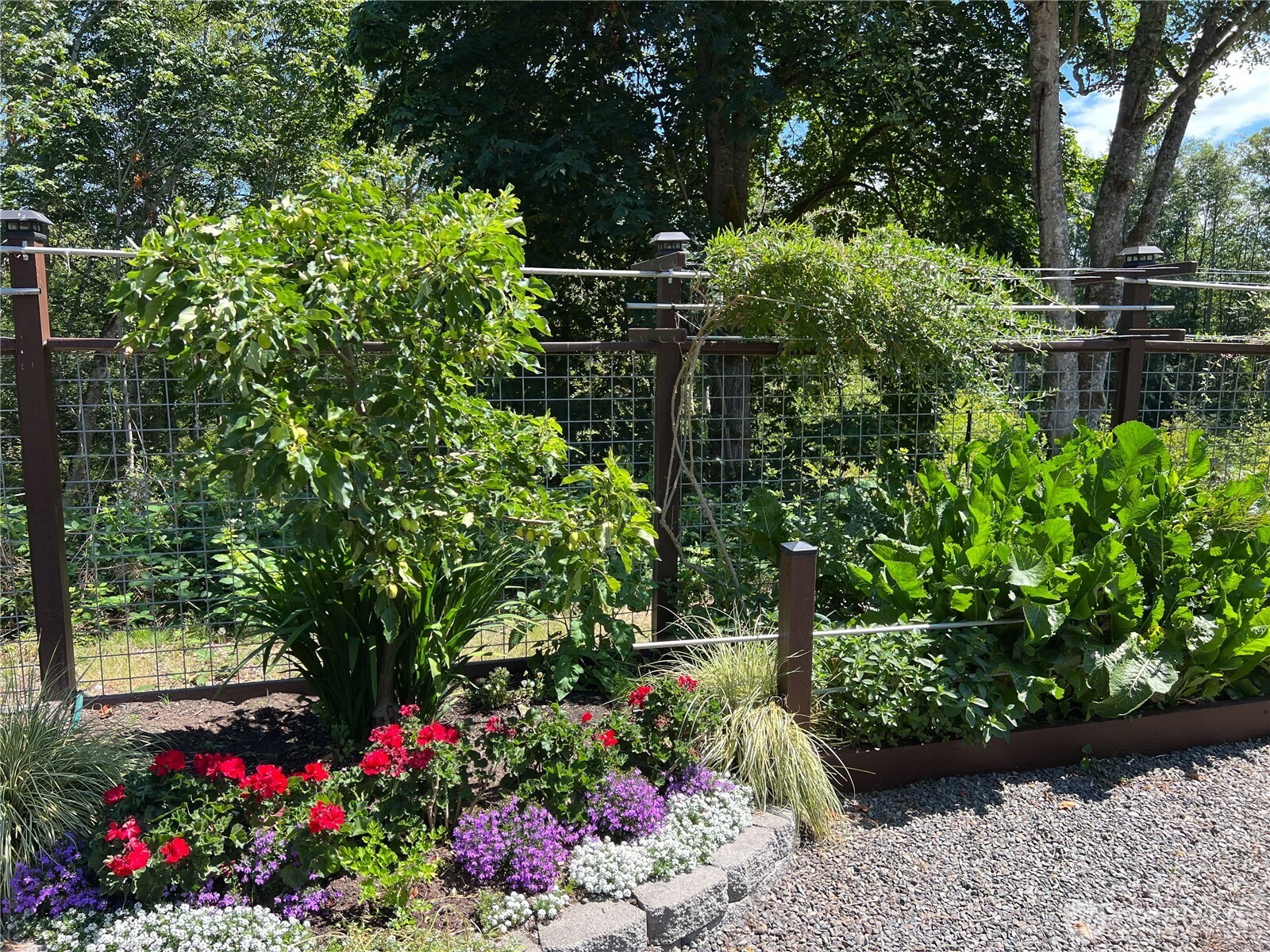 7251 Oak Bay Road Port Ludlow, WA 98365 - Photo 12 of 40 a view of a garden with flowers and flowers