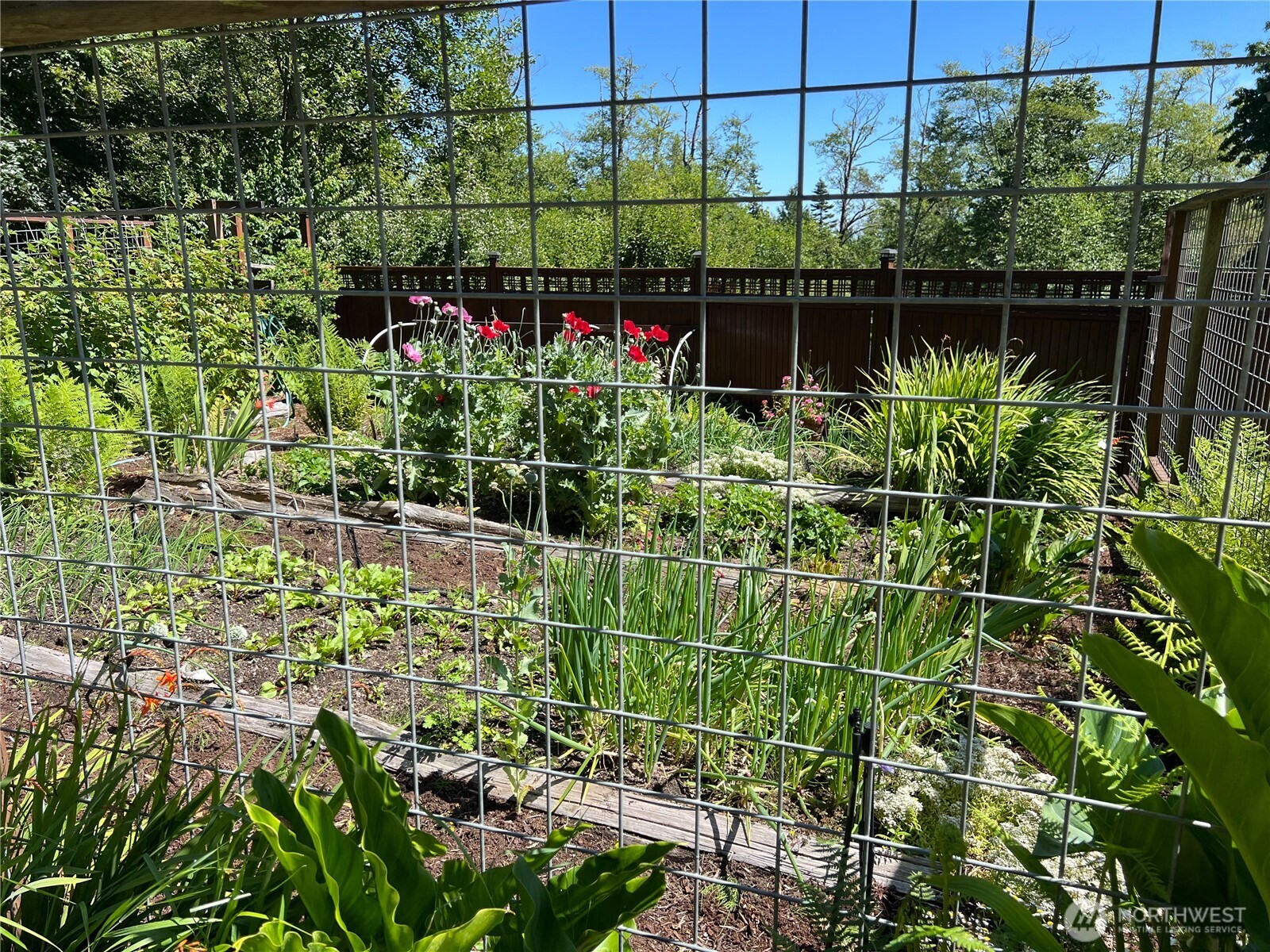 7251 Oak Bay Road Port Ludlow, WA 98365 - Photo 14 of 40 a backyard of a house with lots of green space and a fountain