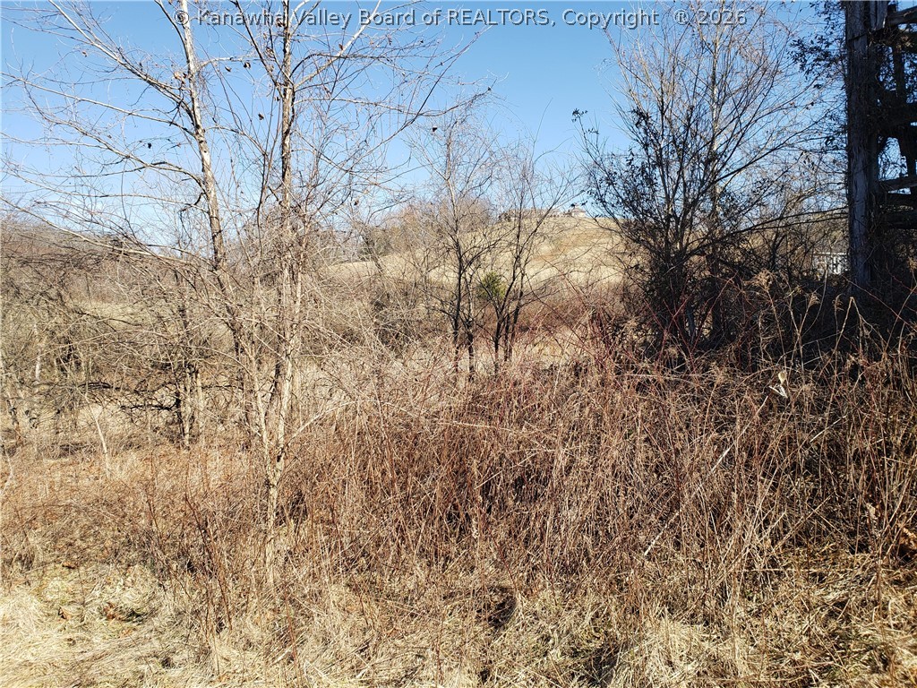 1224 Newmans Branch Road Milton, WV 25541 - Photo 2 of 5 Gallery Image 2