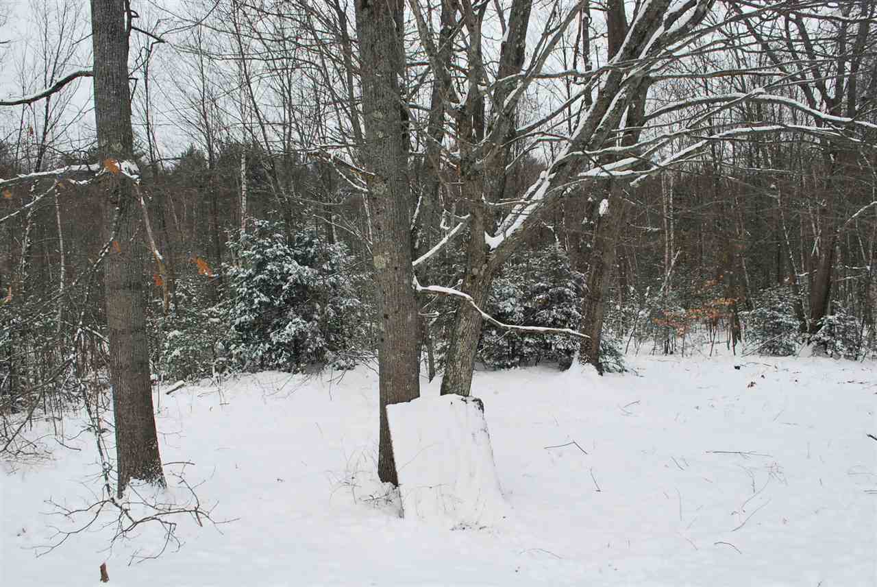 26 Bromo Road Berwick, ME 03901 - Photo 19 of 23