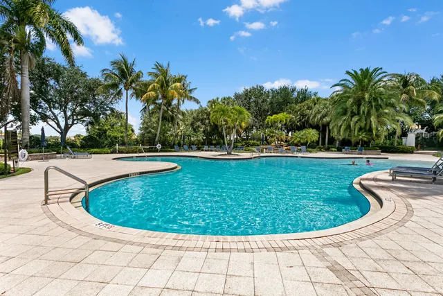 a view of a yard and palm trees