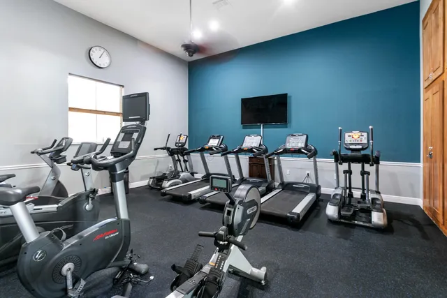 a view of a bench in the garden