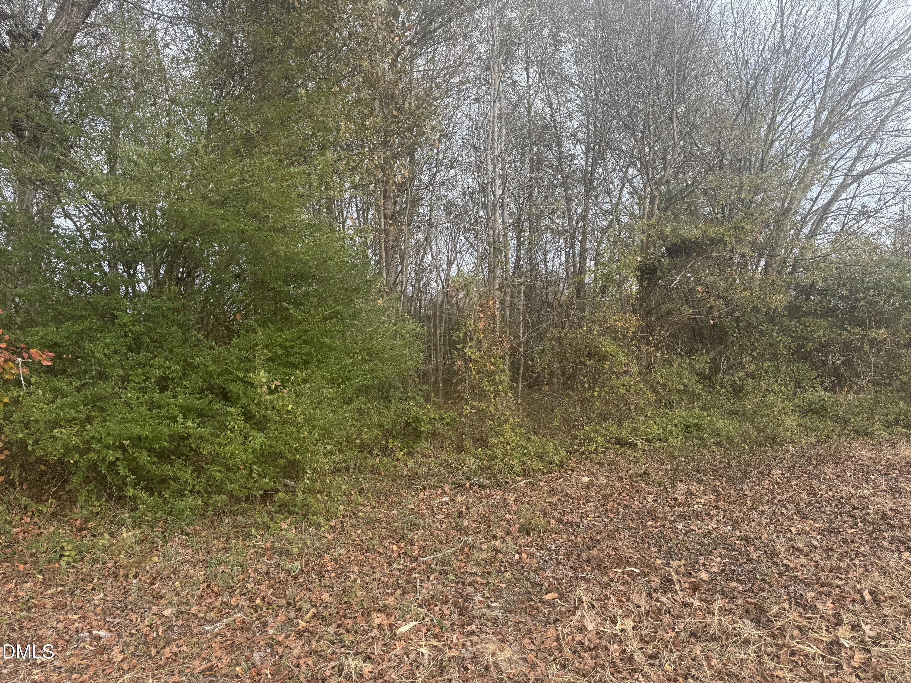 0 L N Mckoy Erwin, NC 28339 - Photo 2 of 6 a view of a yard with a tree