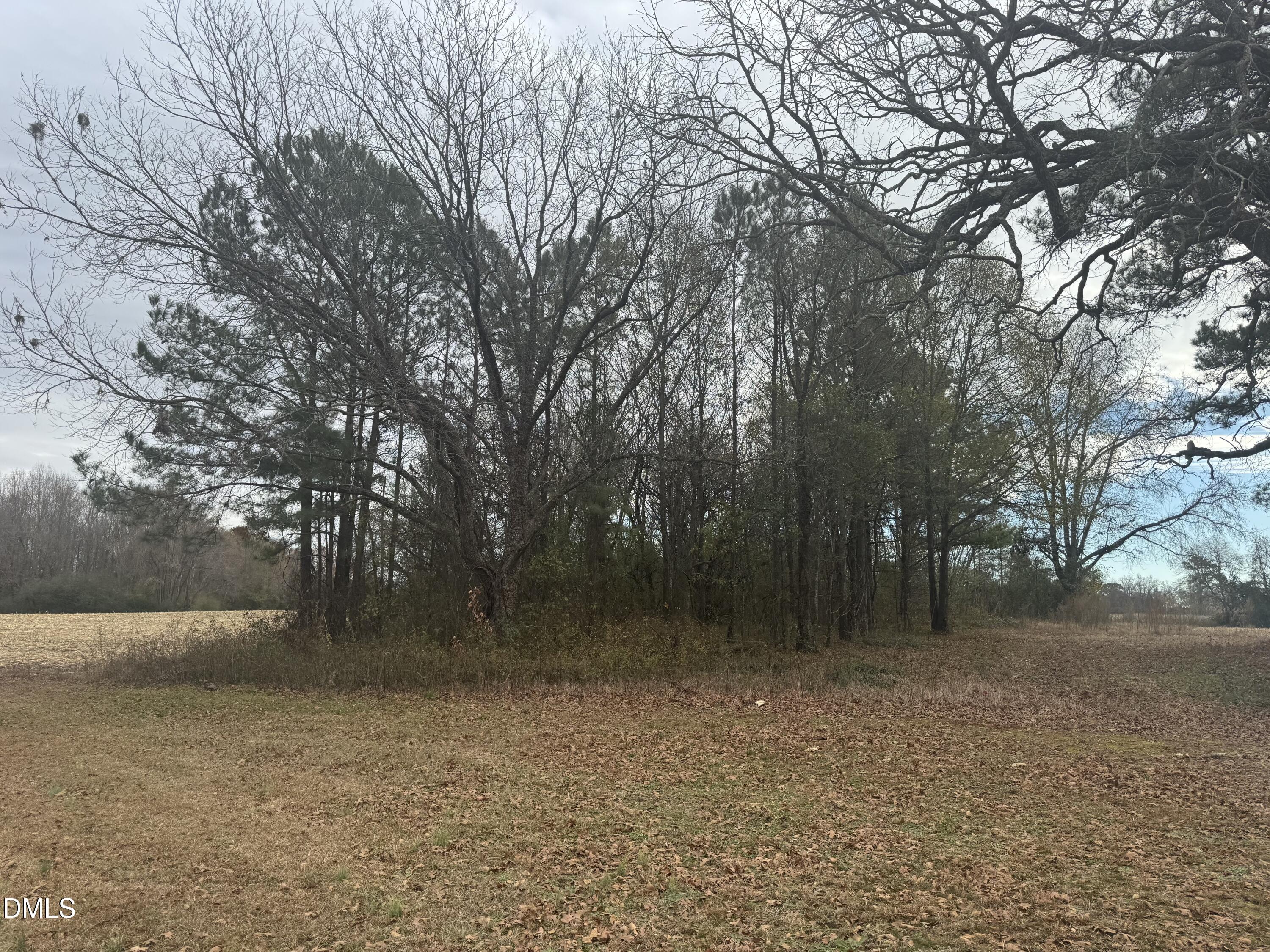 0 L N Mckoy Erwin, NC 28339 - Photo 3 of 6 a backyard of a house with lots of green space