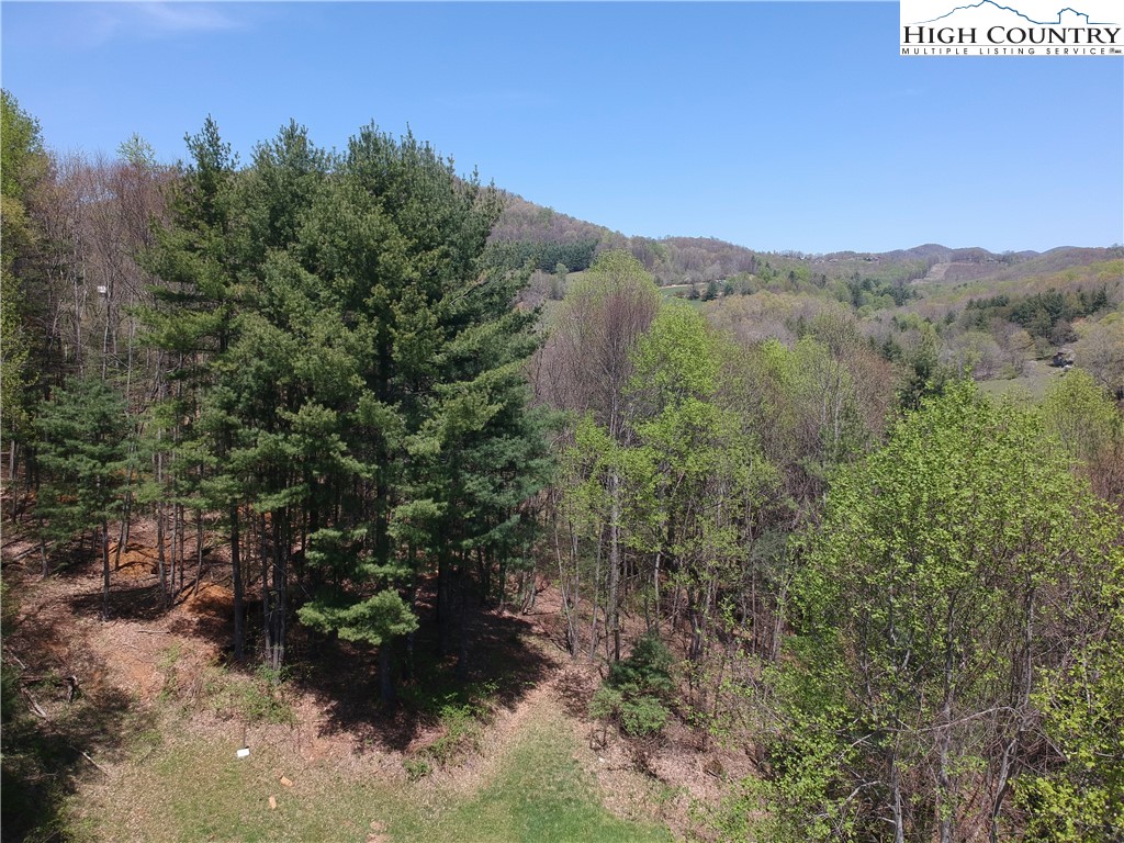 3 Riverwalk Ridge Road Todd, NC 28684 - Photo 9 of 9 Gallery Image 9