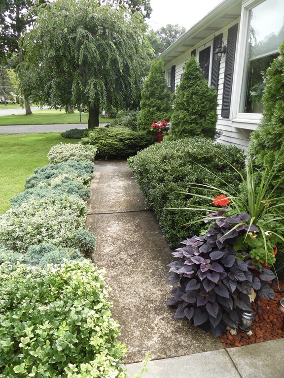 15 Hadley Street Springfield, MA 01118 - Photo 3 of 30 Gallery Image 3