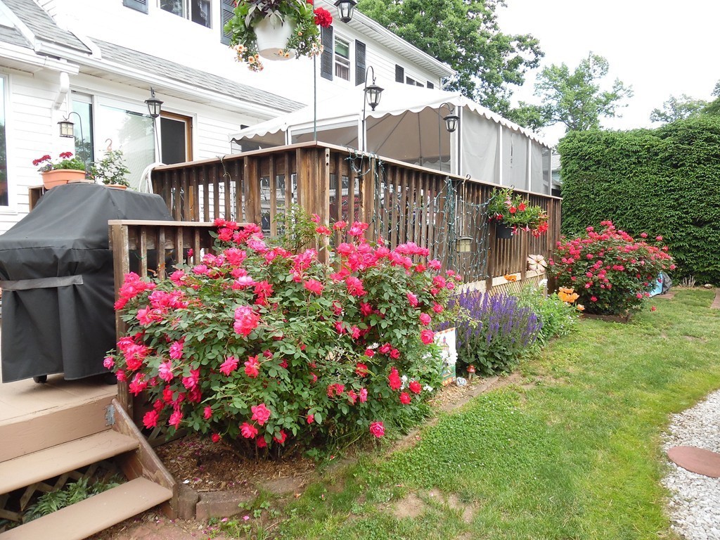 15 Hadley Street Springfield, MA 01118 - Photo 7 of 30 Gallery Image 7