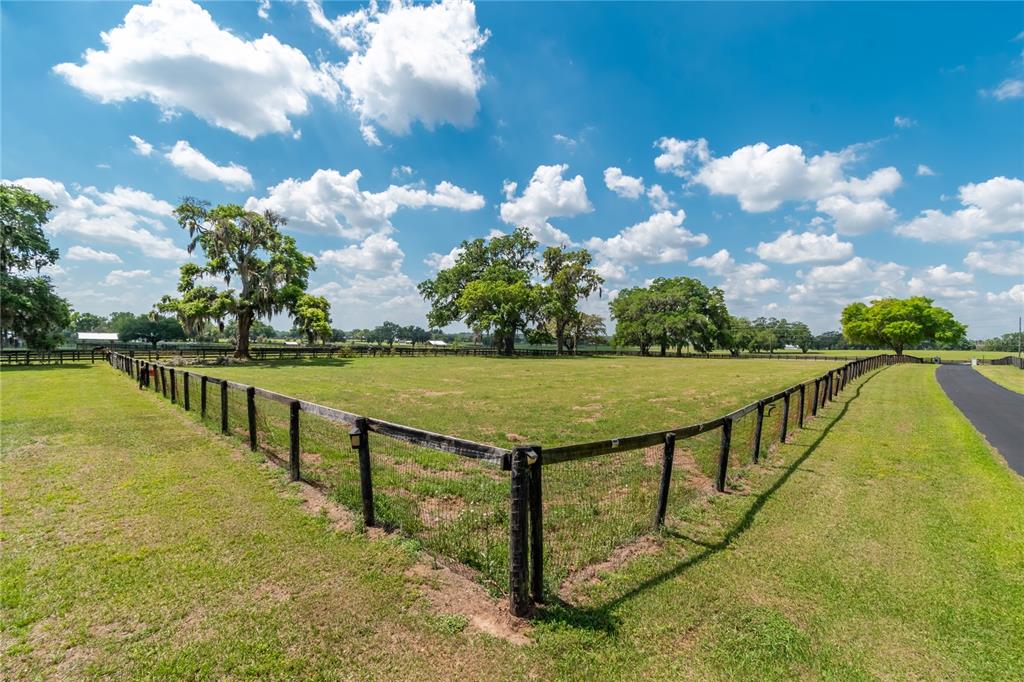 13025 Northwest Gainesville Road Reddick, FL 32686 - Photo 61 of 100