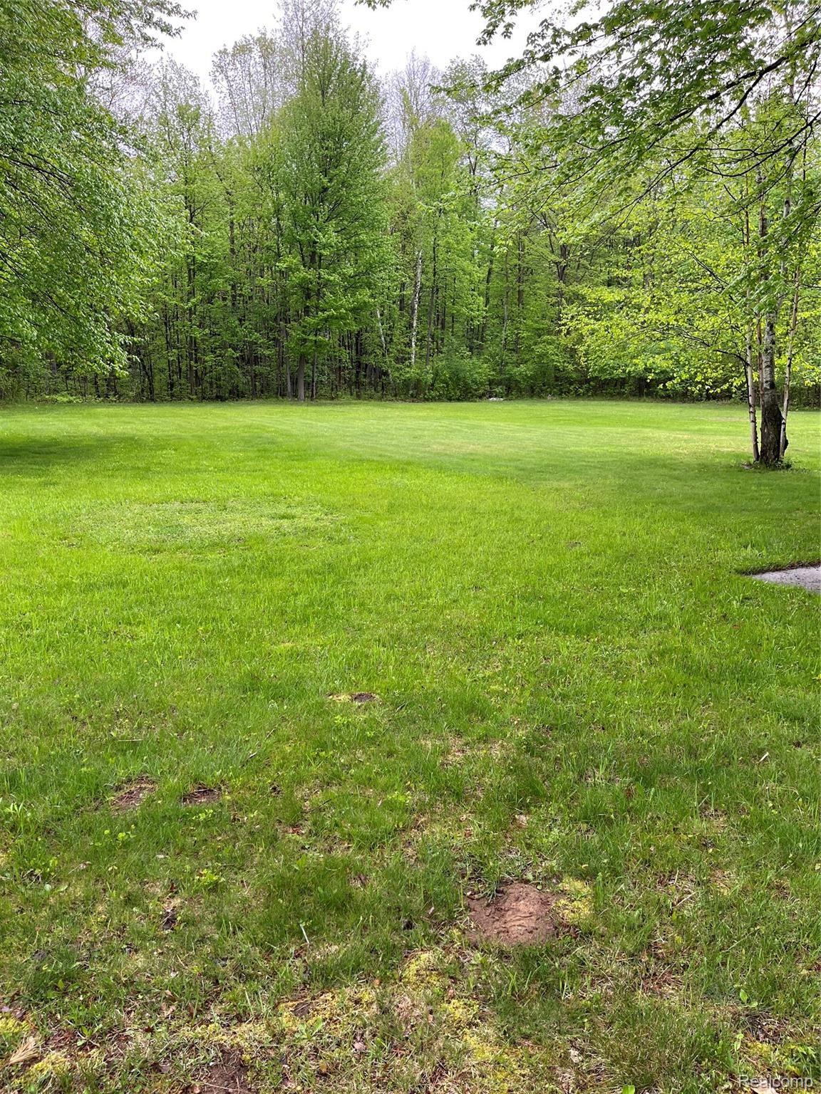 3682 Hanes Road Vassar, MI 48768 - Photo 5 of 30 back yard.JPG