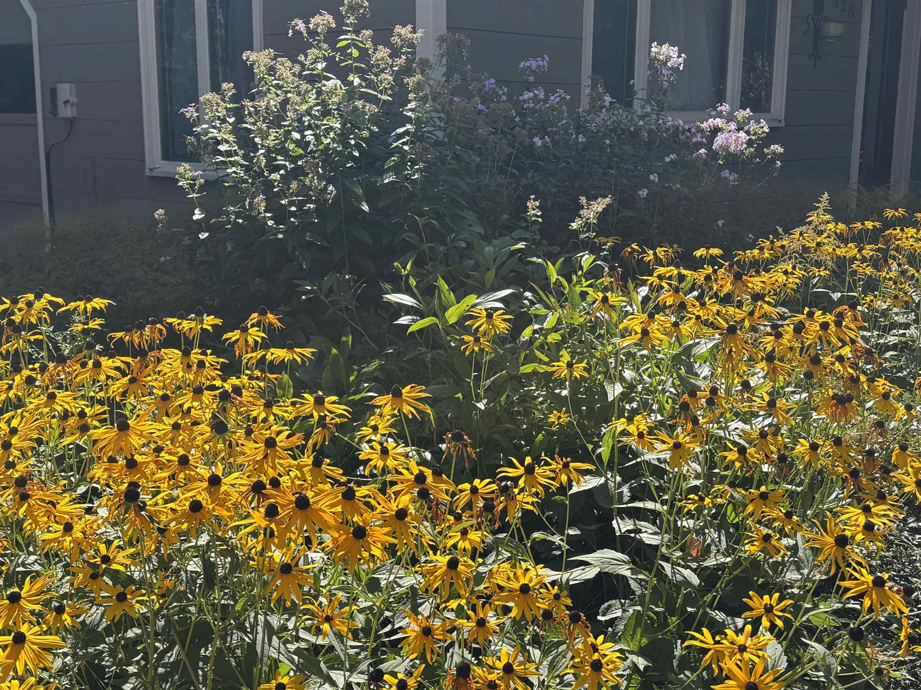 128 Upper Pines Road Warren, VT 05674 - Photo 4 of 17