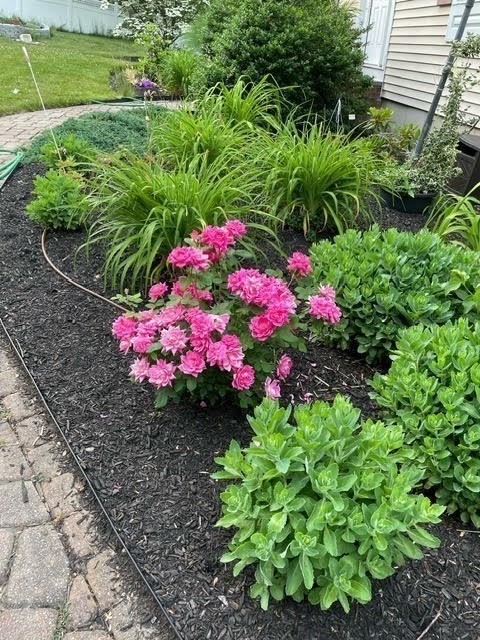 48 Boston Road Westford, MA 01886 - Photo 38 of 41 Gallery Image 38