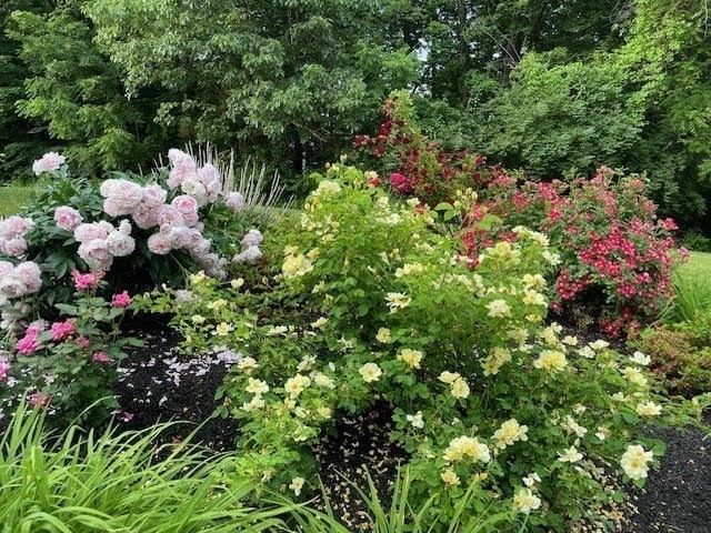 48 Boston Road Westford, MA 01886 - Photo 40 of 41 Gallery Image 40
