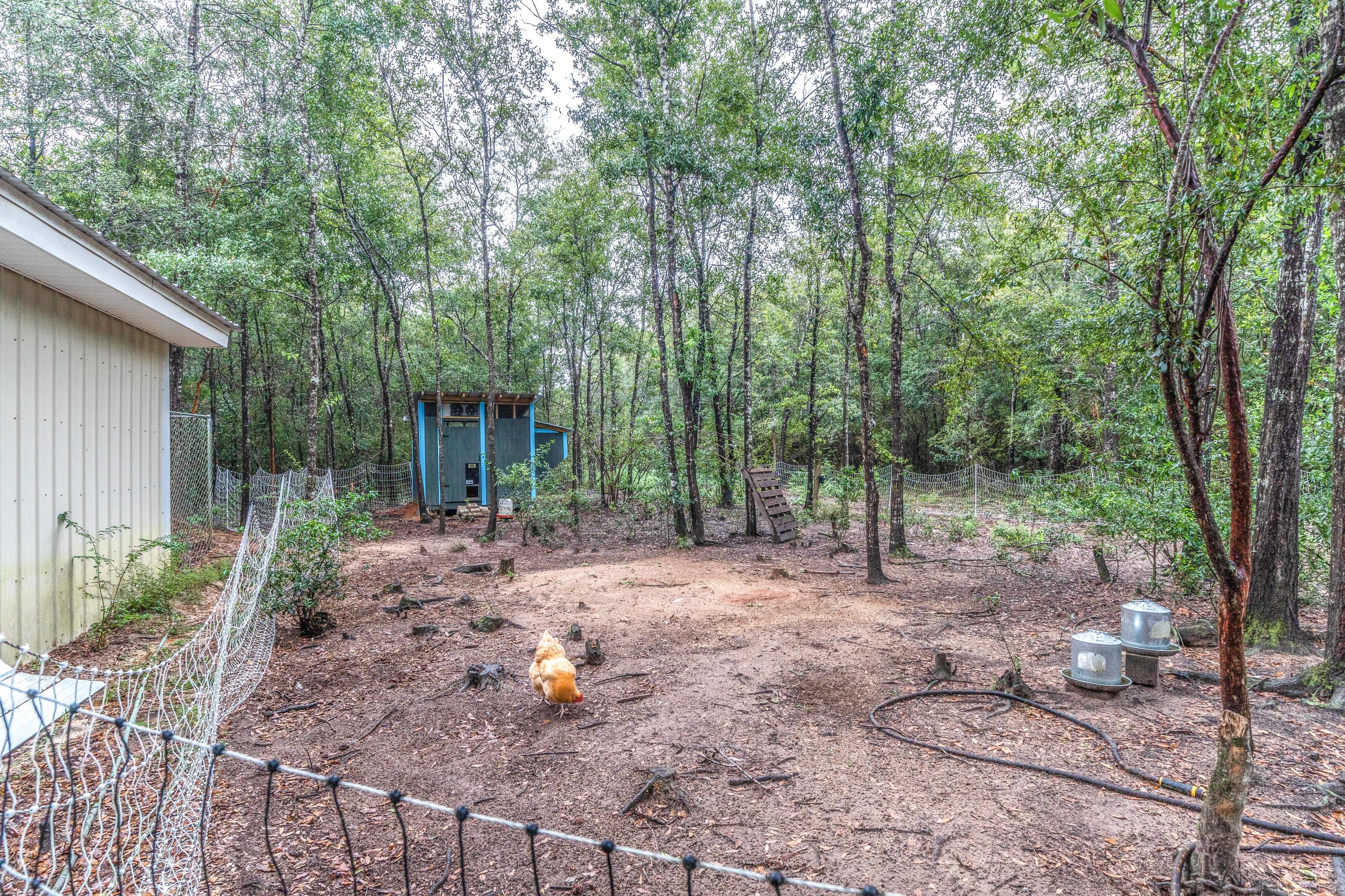 4720 Broderick Road Holt, FL 32564 - Photo 40 of 43 DSC08296