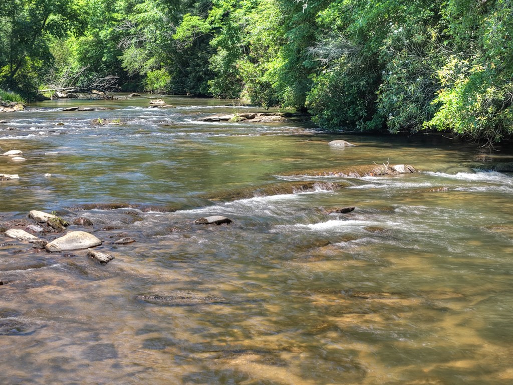 1027 Power Dam Road Blue Ridge, GA 30513 - Photo 78 of 84 Gallery Image 78