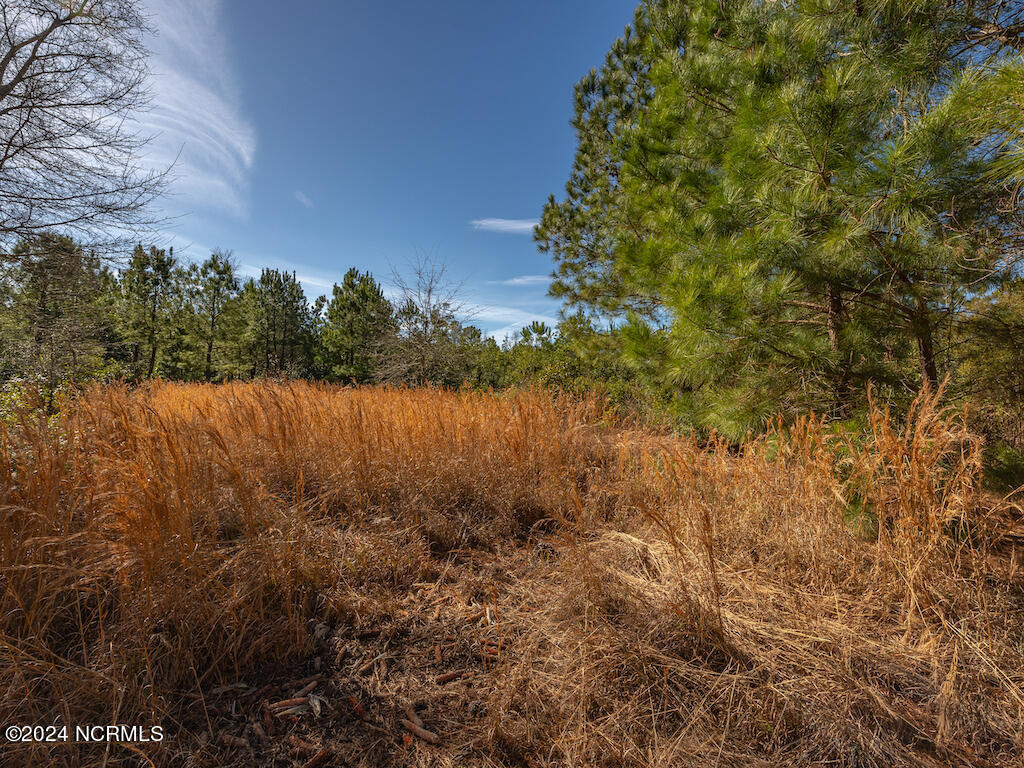 0 Hallsboro Road South Whiteville, NC 28472 - Photo 23 of 27 23