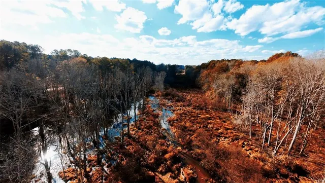 a view of a bunch of trees in a field