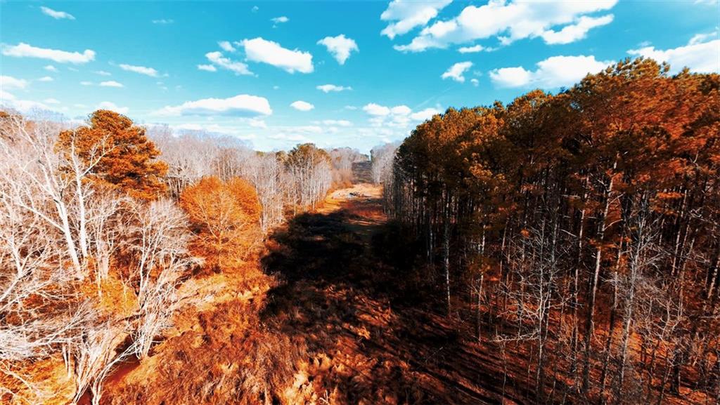 1601 Lake Paradise Road Villa Rica, GA 30180 - Photo 2 of 4 a view of outdoor space and garden