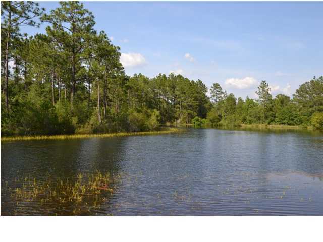 41.8-ac Woolmac Road Crestview, FL 32539 - Photo 13 of 32 Additional Photo