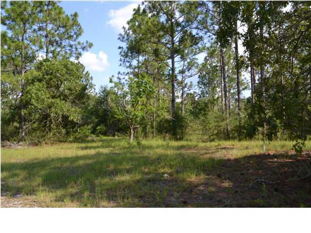 41.8-ac Woolmac Road Crestview, FL 32539 - Photo 21 of 32 Additional Photo