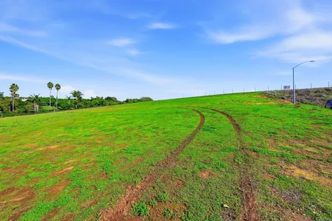a view of a field with plants and a garden