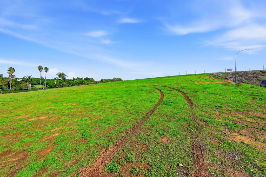 1630 South Mission Road Fallbrook, CA 92028 - Photo 7 of 34 a view of a field with plants and a garden