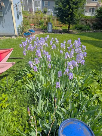 a view of outdoor sitting area with swimming pool