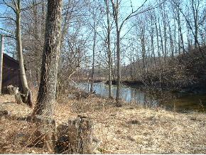 419 Halsey Valley Road Barton, NY 13734 - Photo 5 of 6 Gallery Image 5