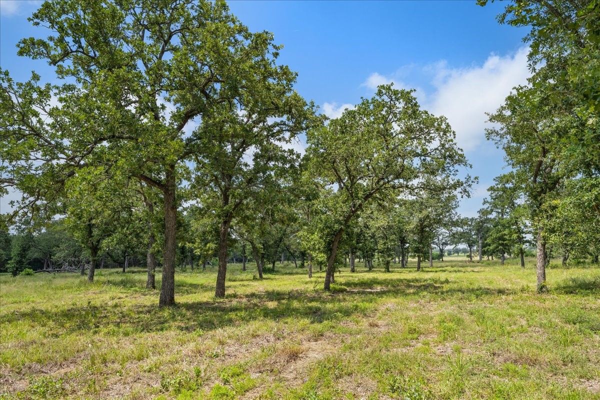 6900 Waldeck Cemetery Road Round Top, TX 78954 - Photo 7 of 24