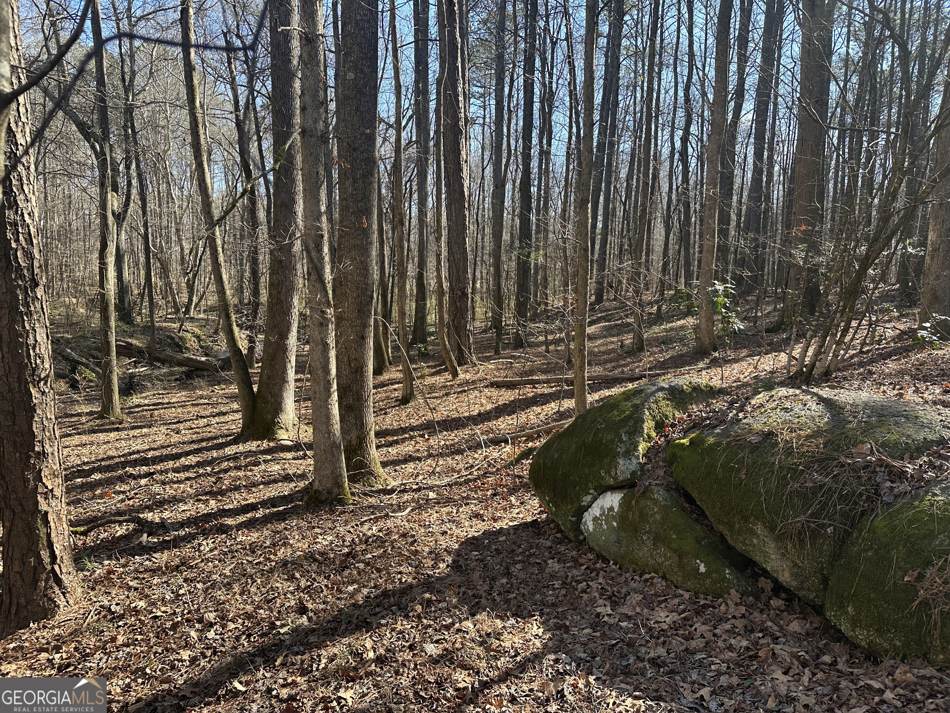 178 Crabapple Lane Tyrone, GA 30290 - Photo 2 of 7 a view of a backyard with trees