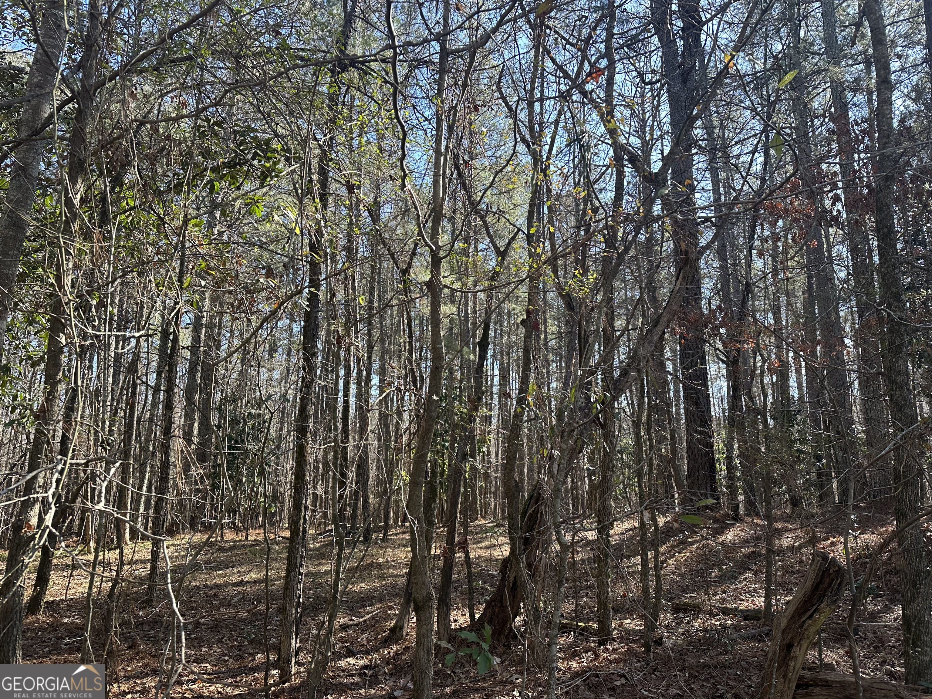 178 Crabapple Lane Tyrone, GA 30290 - Photo 3 of 7 a view of outdoor space and a yard