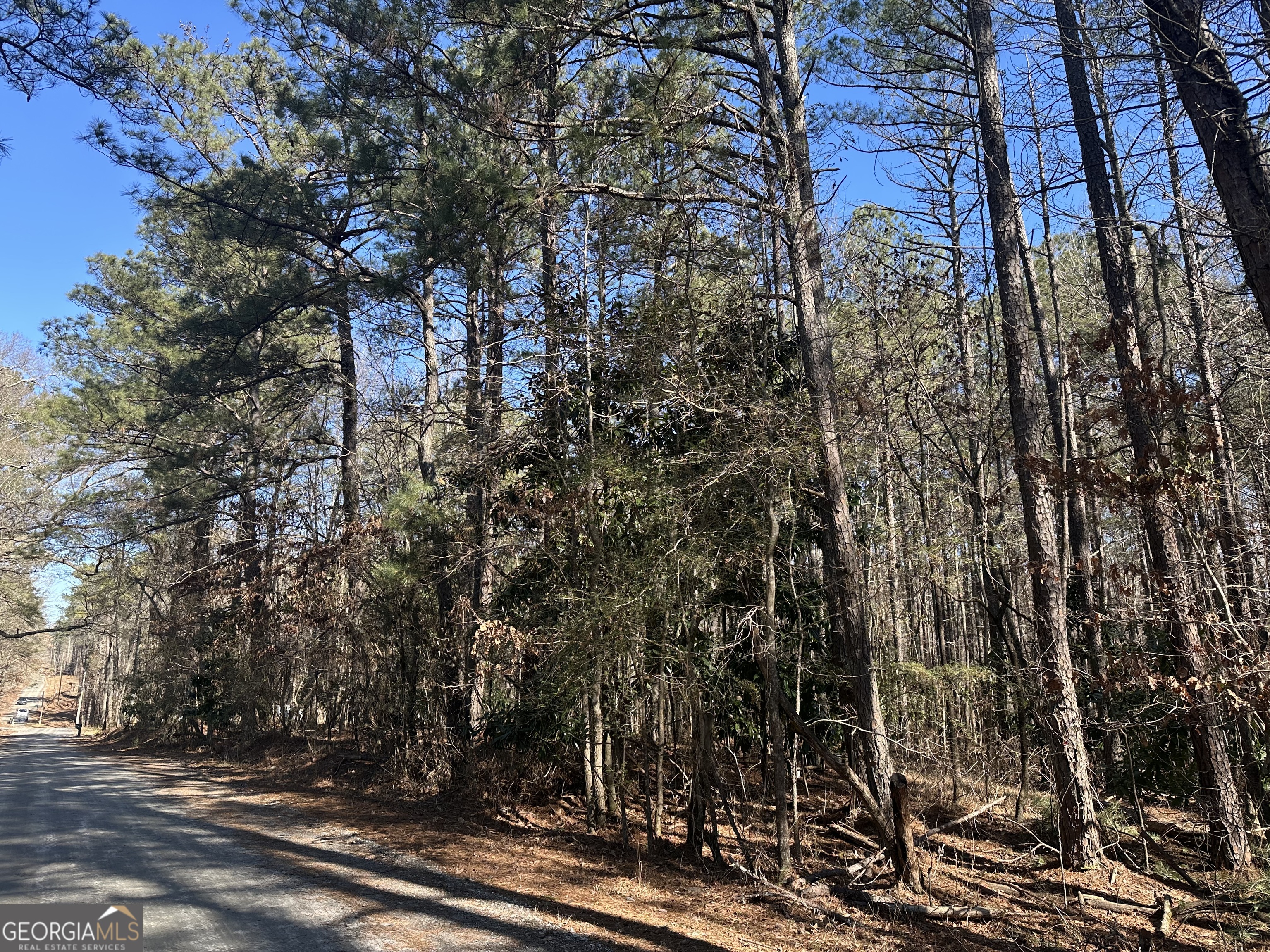 178 Crabapple Lane Tyrone, GA 30290 - Photo 4 of 7 a view of a city