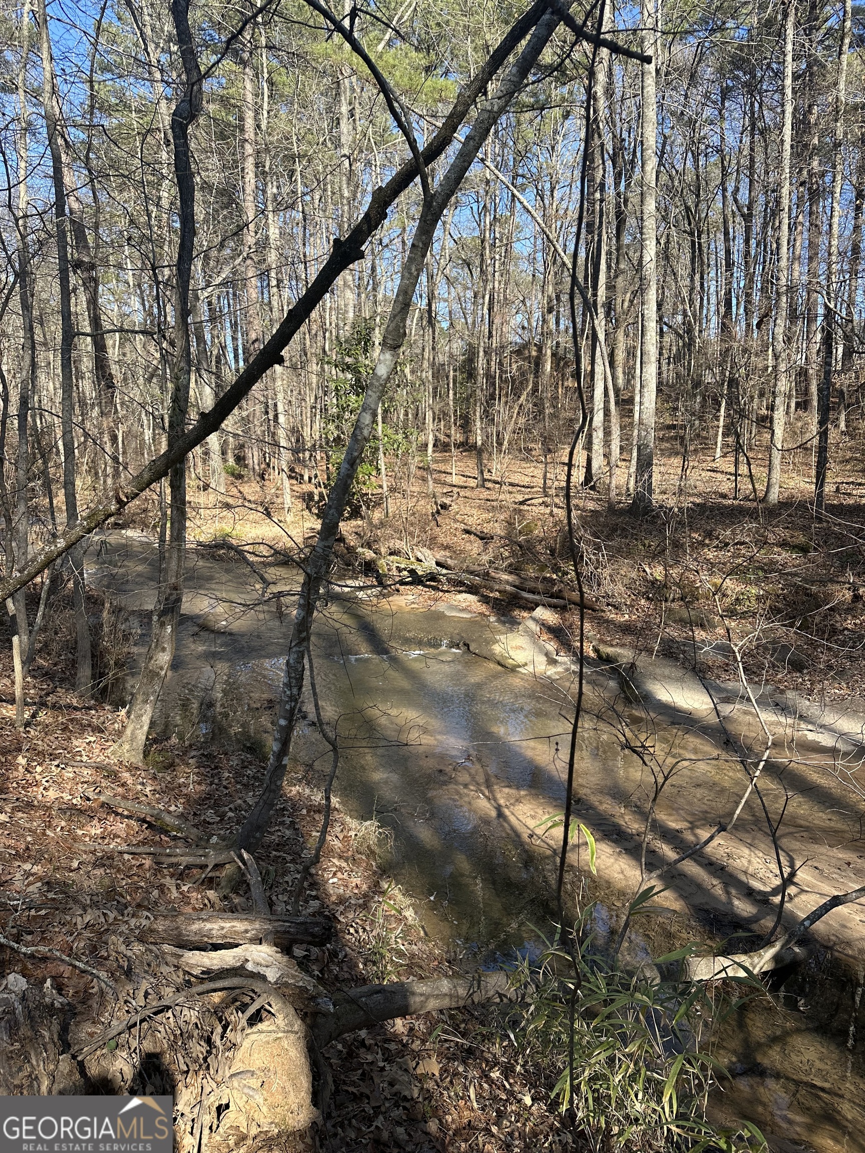 178 Crabapple Lane Tyrone, GA 30290 - Photo 6 of 7