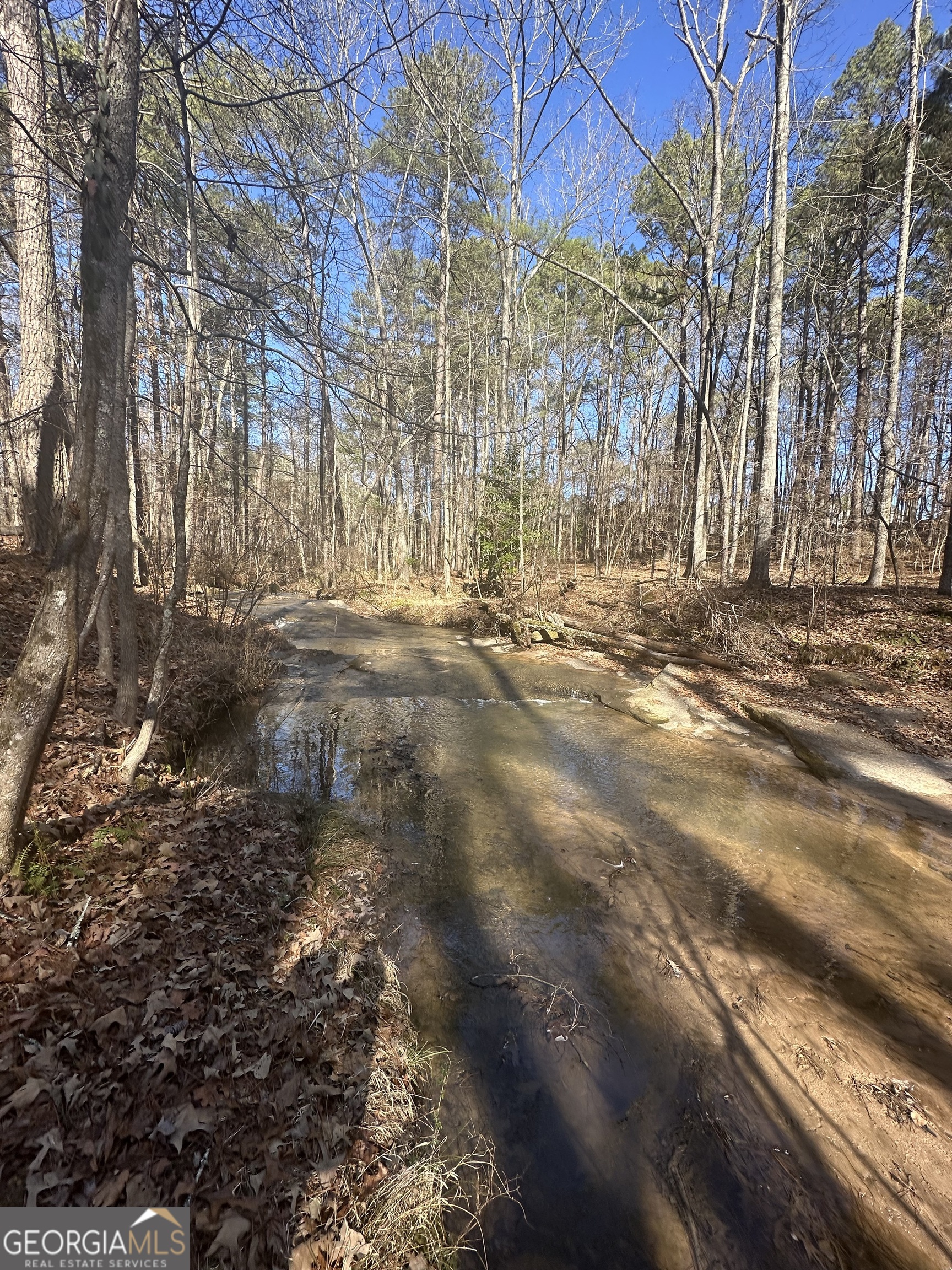 178 Crabapple Lane Tyrone, GA 30290 - Photo 7 of 7 a view of a yard with a snow