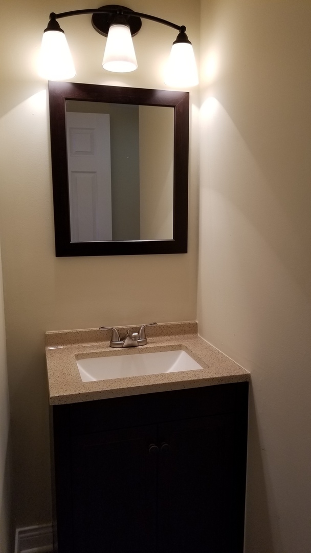 406 East Kensington Road, Unit C Mount Prospect, IL 60056 - Photo 18 of 22 a bathroom with a sink and a mirror
