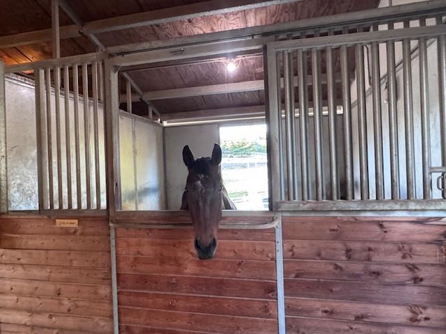 2899 Stagecoach Road Placerville, CA 95667 - Photo 71 of 80