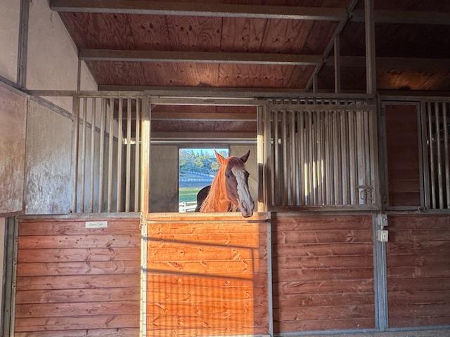 2899 Stagecoach Road Placerville, CA 95667 - Photo 72 of 80