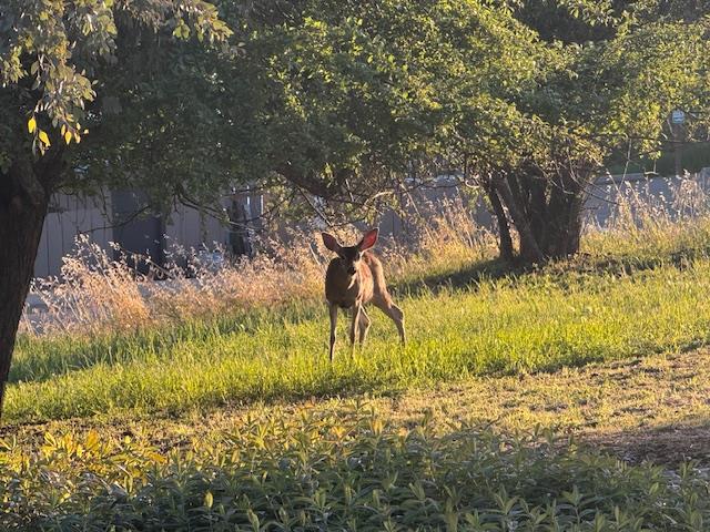 2899 Stagecoach Road Placerville, CA 95667 - Photo 80 of 80