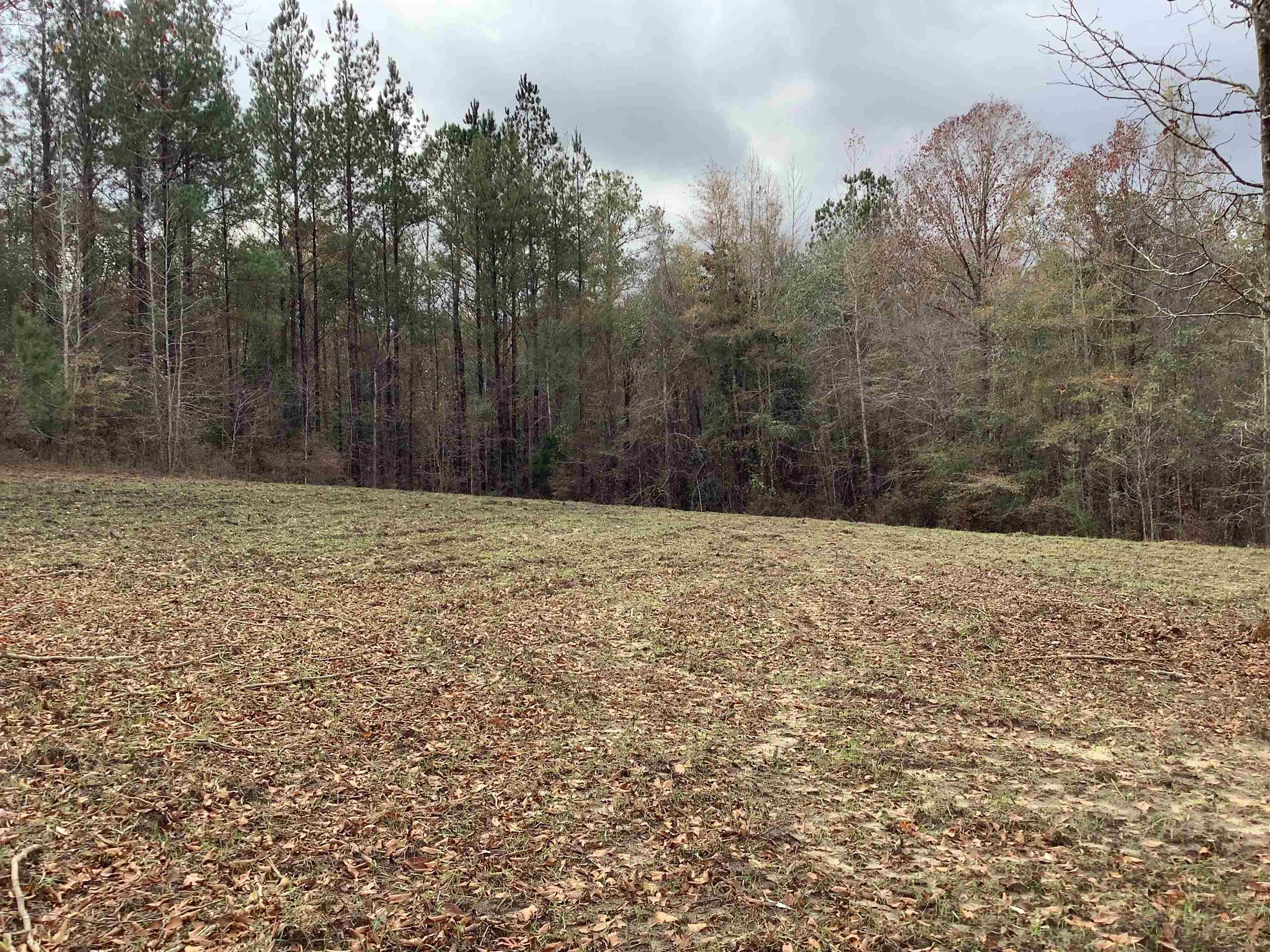 2264 Mulberry Road Brantley, AL 36009 - Photo 20 of 30 Gallery Image 20