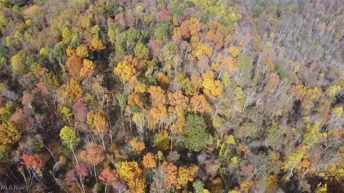 4277 Twin Sisters Road Cambridge, OH 43725 - Photo 23 of 27 Aerial view of property location featuring a heavily wooded area