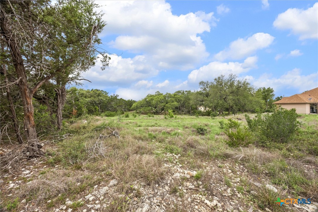 865 Rutherford Fischer, TX 78623 - Photo 9 of 11 a view of a big yard with lots of green space
